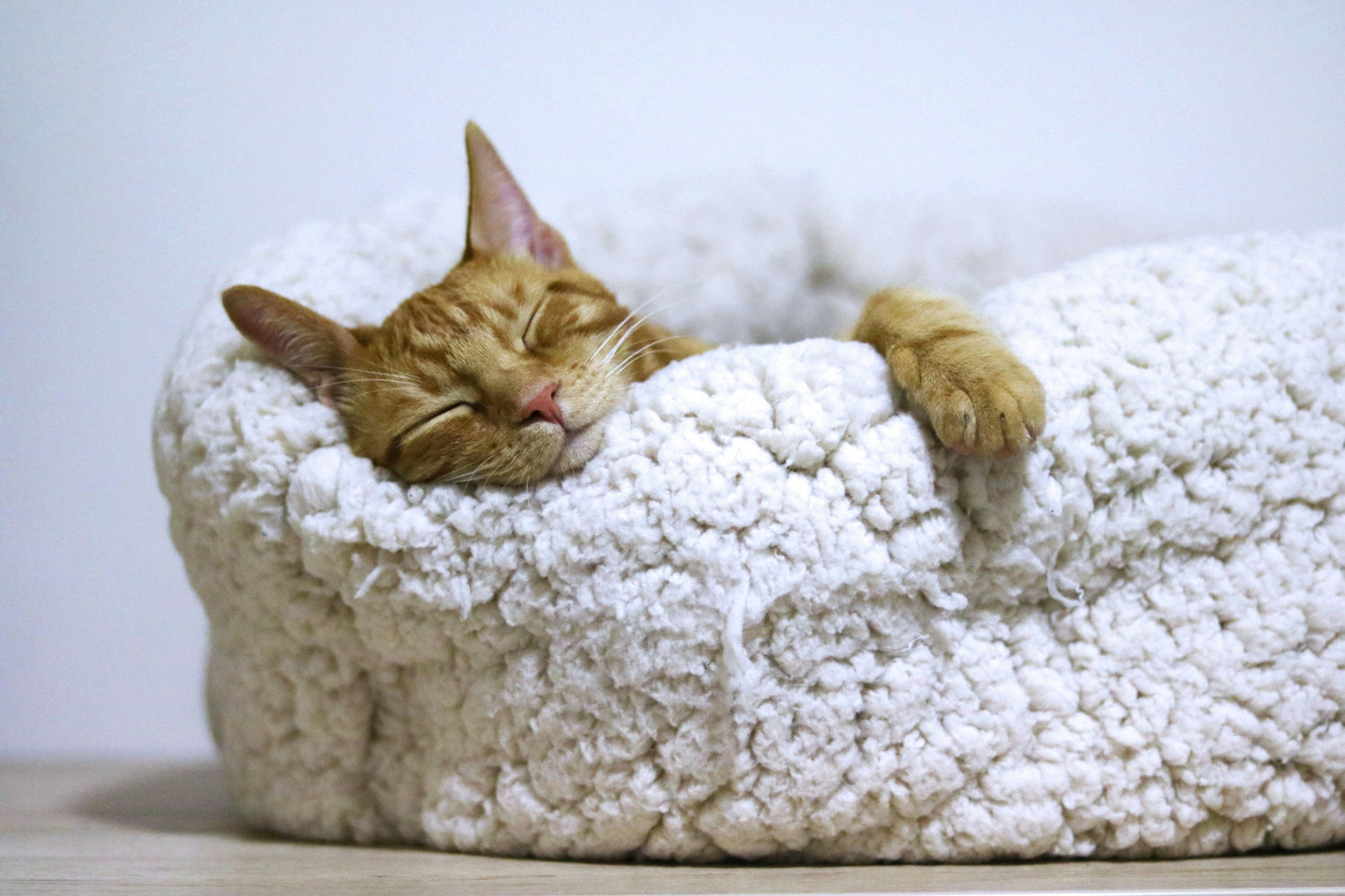 Pet bed