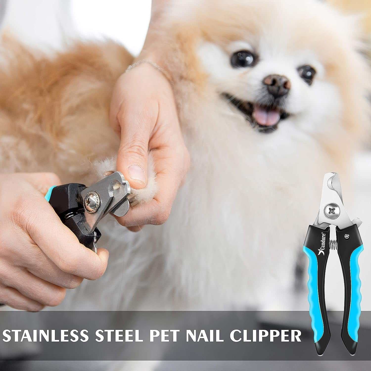 Candure Professional Dog Nail Clippers with Safety Lock