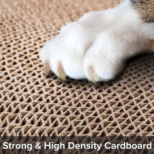 Cat Scratcher Lounge