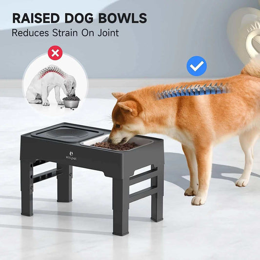 2-In-1 Elevated Dog Bowls