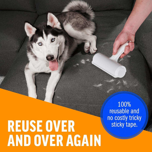 Portable Multi-Surface Fur Removal Tool