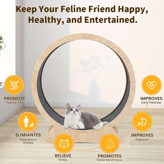 Cat Exercise Wheel