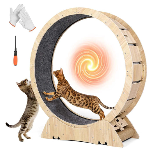 Cat Exercise Wheel