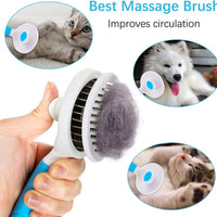 Cat Brush Self-Cleaning