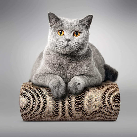Cat Scratcher Lounge