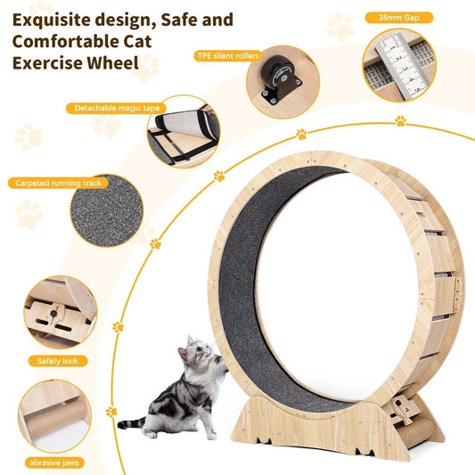 Cat Exercise Wheel