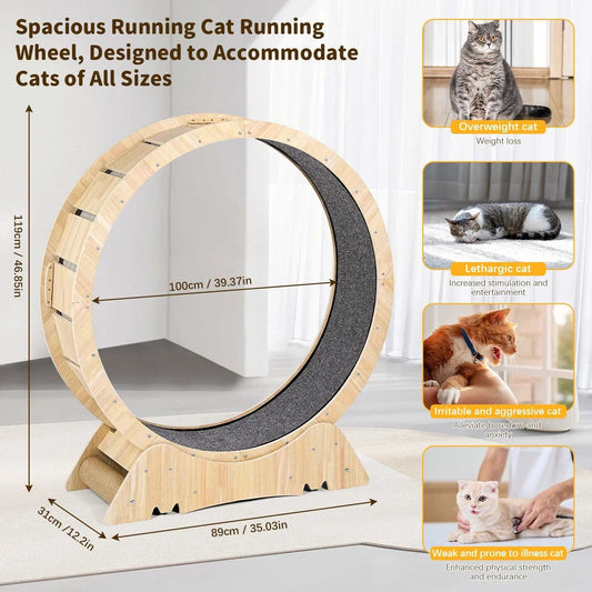Cat Exercise Wheel