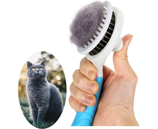Cat Brush Self-Cleaning